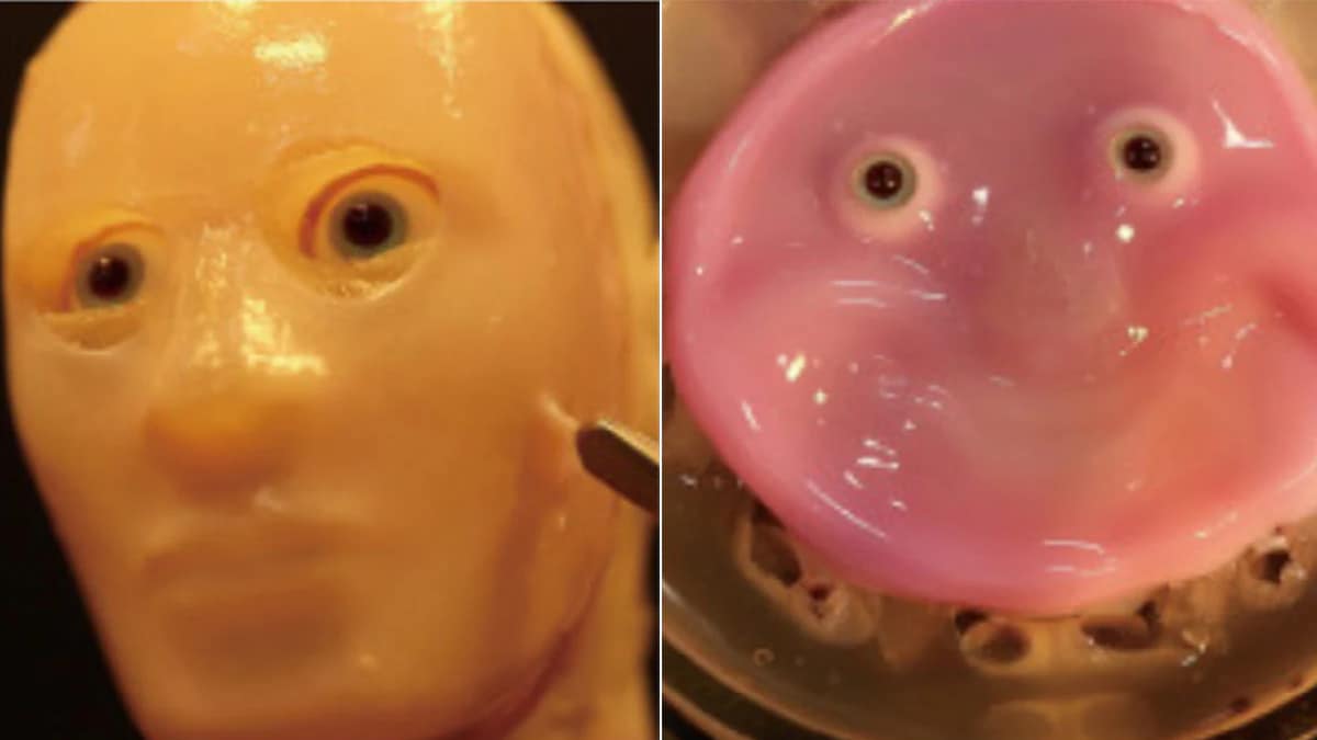 Scientists Create Smiling Robot Face Made Of Living Human Skin Cells