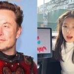 Girl Tesla User Asks Elon Musk To Fix Bug on Her Car Screen in China