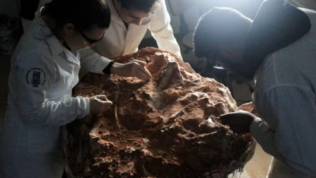 World oldest dinosaur 233 millions old fossil found in brazil