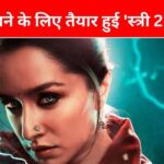 Stree 2 robbed the box office with a bang, the film earned so much money worldwide that the makers made a lot of money