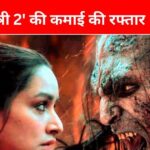 The terror of Sarkate is not stopping at the box office, STREE 2 made a tremendous collection in 24 days, the total earnings will surprise you