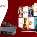 Airtel Digital TV Amazon Prime Plans Launched in Partnership with OTT Live TV