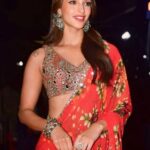 Trupti Dimri's charming style in saree