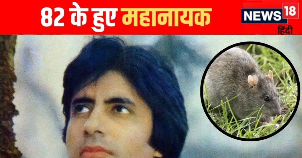 Amitabh Bachchan was once forced to sleep with rats, had no place to live, today is the owner of Rs 1600 crores