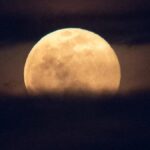 Hunter Moon 2024 date and time October supermoon also called shard poornima