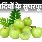 Winter Superfood; Amla Nutrition Facts and Health Benefits Explained | Winter superfood- 12 reasons to eat Amla in winter: In Ayurveda, it is considered to be nectar, a treasure of vitamins, who should not eat it?