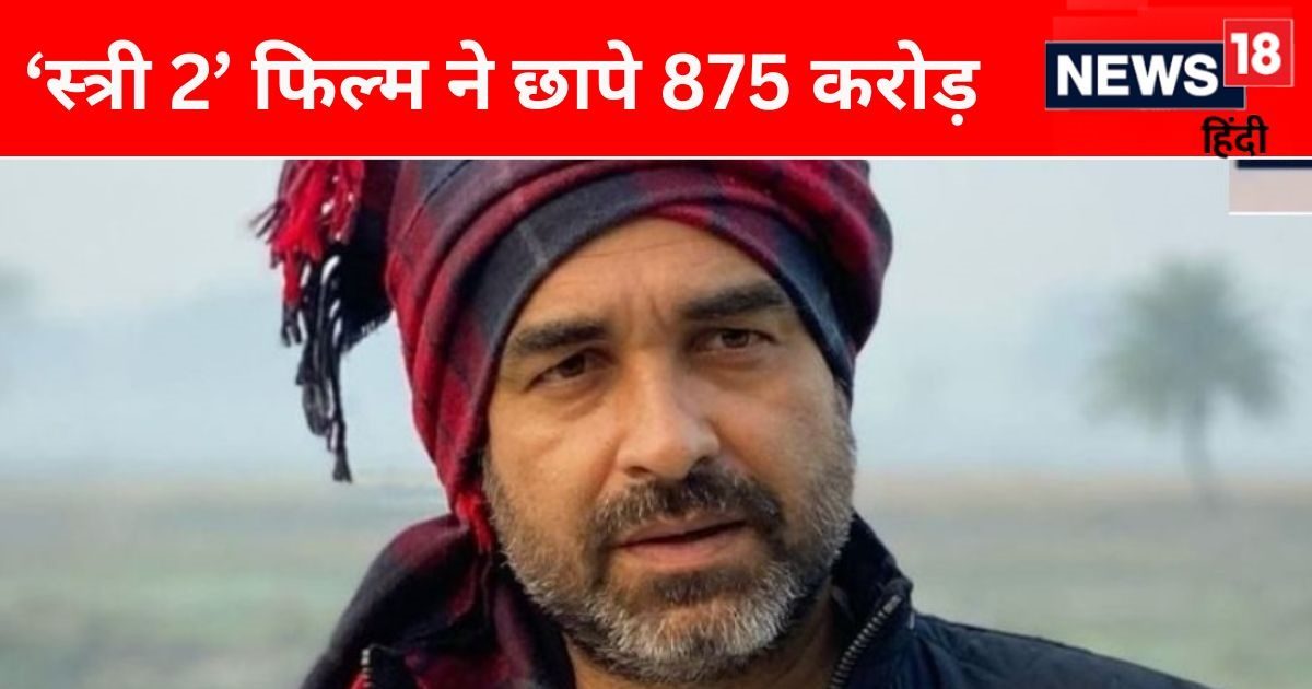 ‘You should not lose your mind’, what did Pankaj Tripathi say on the box office success of Stree 2?