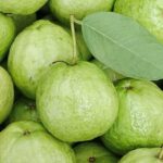 How To Use Guava Leaves In Hair Care In Hindi - Amar Ujala Hindi News Live