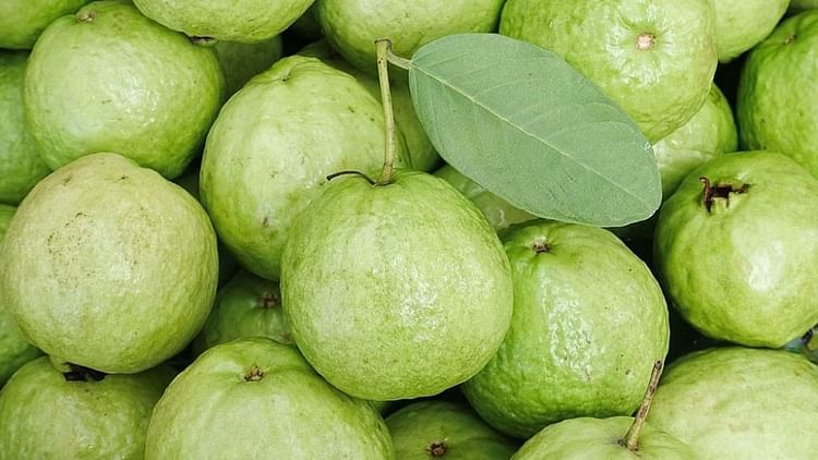 How To Use Guava Leaves In Hair Care In Hindi - Amar Ujala Hindi News Live