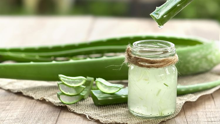 Skin Care Tips: Should aloe vera gel be used on the face during winter season or not?