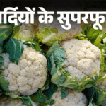 Winter Superfood; Phool Gobhi Patta Gobhi Health Benefits (Eating Benefits) Winter superfoods - Cauliflower and Broccoli are a treasure trove of Vitamin C: Strengthens bones, rich in anti-cancer elements, who should not eat them?