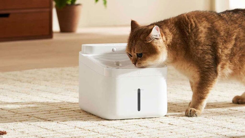 Xiaomi Smart Pet Water Dispenser Price 199 CNY Launched 100 Days Battery Life Fountain Mode Smartphone Connectivity More