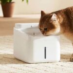 Xiaomi Smart Pet Water Dispenser Price 199 CNY Launched 100 Days Battery Life Fountain Mode Smartphone Connectivity More