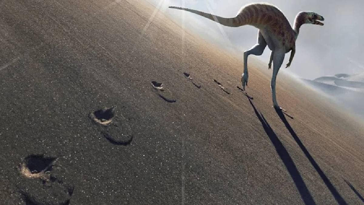 166 million year old dinosaur footprints trackway unearthed in Oxfordshire quarry