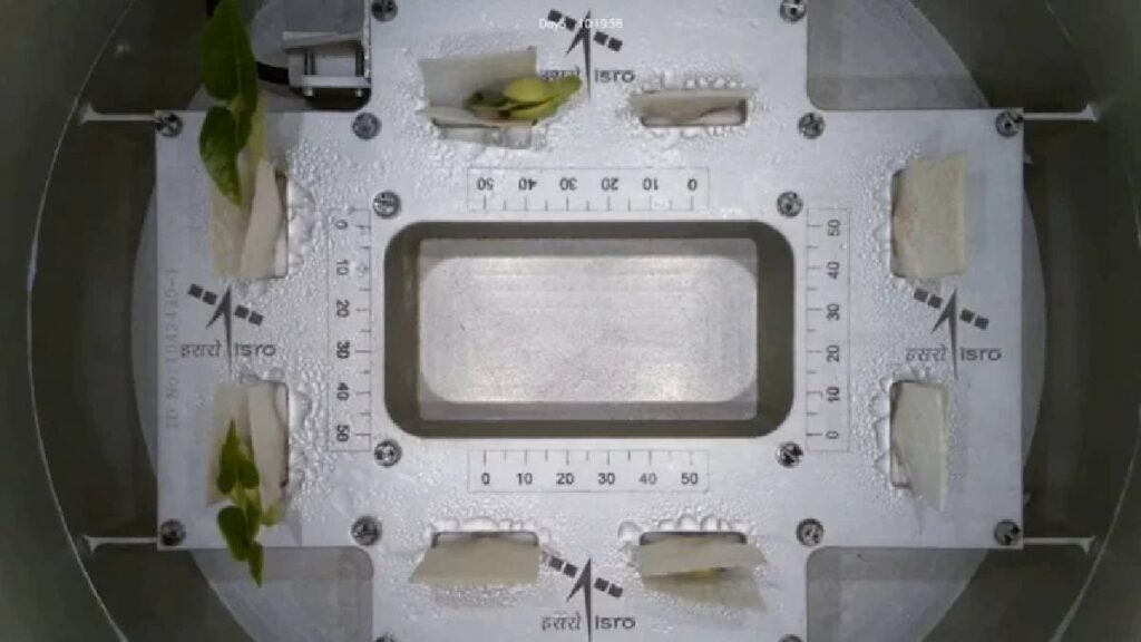 ISRO Time Lapse Video Shows How Plants Grow In Space