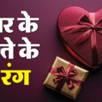 Valentine Week 2025 Seven dress for Valentine Week Celebration - Amar Ujala Hindi News Live