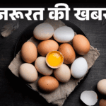 Real eggs vs fake identification; Nakli Anda Kaise Pahchane? Health Risks | News of the need- Fake eggs sold in the market: Dangerous for liver-kidney, identify such that egg is real or fake